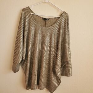 Kim & Cami Shimmering Silver Blouse